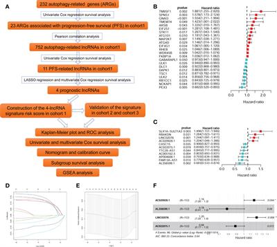 An autophagy-related four-lncRNA signature helps to predict progression-free survival of neuroblastoma patients